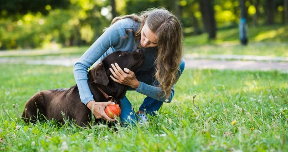 Portada tienda ADECAN productos para perros educación y bienestar canino